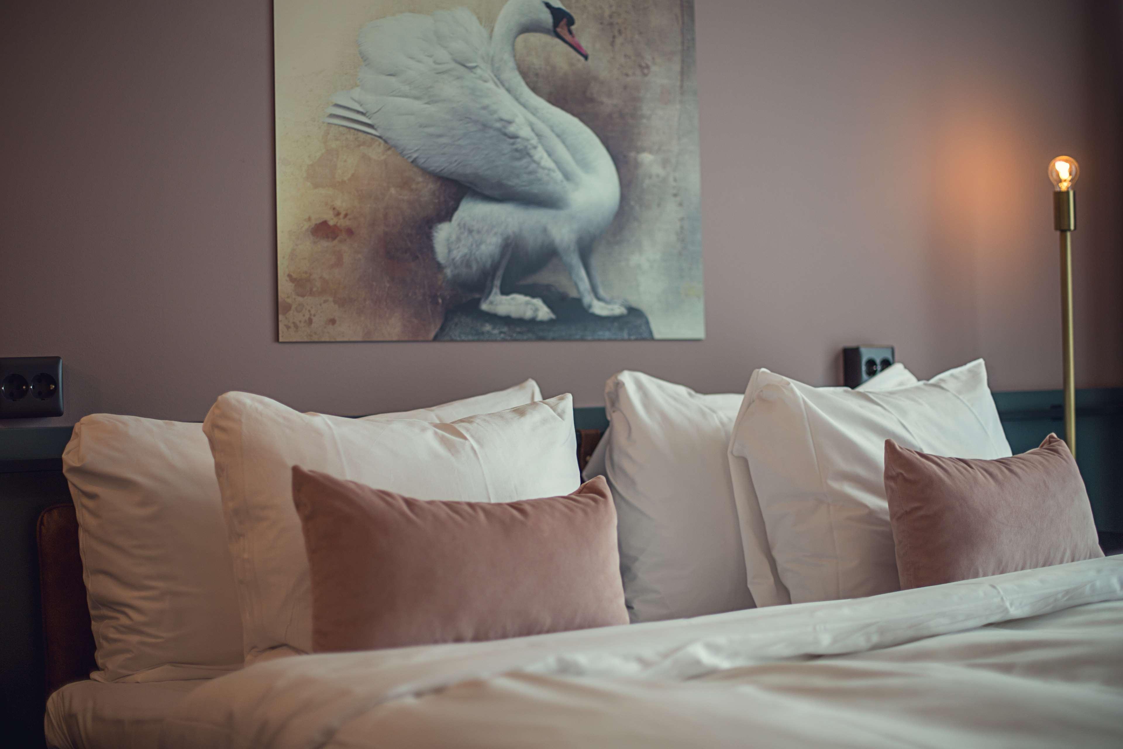Best Western Plus Fort Worth Forest Hill Inn & Suites Екстериор снимка