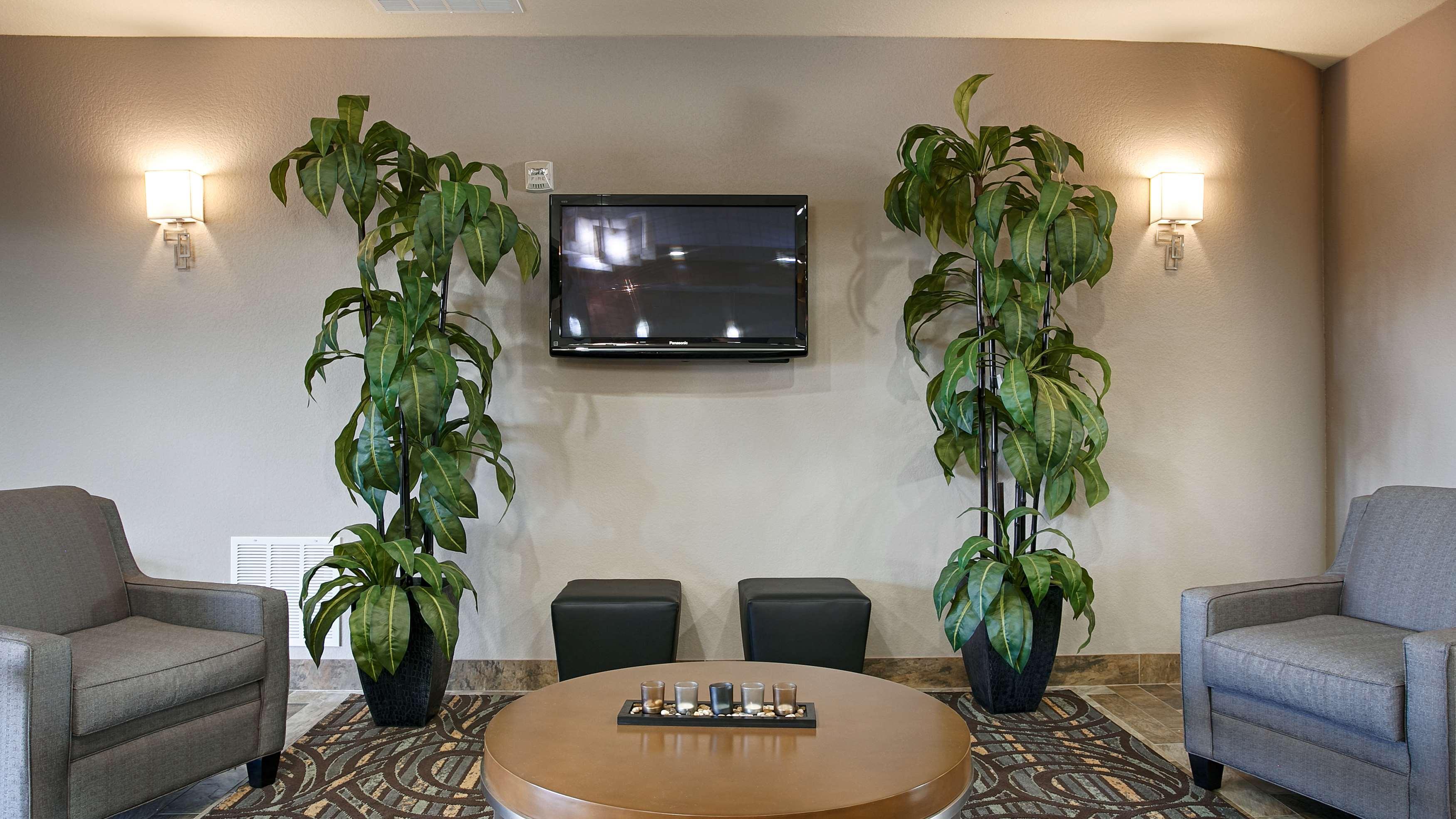 Best Western Plus Fort Worth Forest Hill Inn & Suites Екстериор снимка